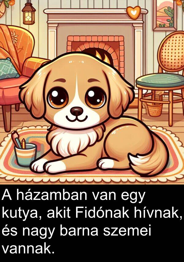 vannak: A házamban van egy kutya, akit Fidónak hívnak, és nagy barna szemei vannak.