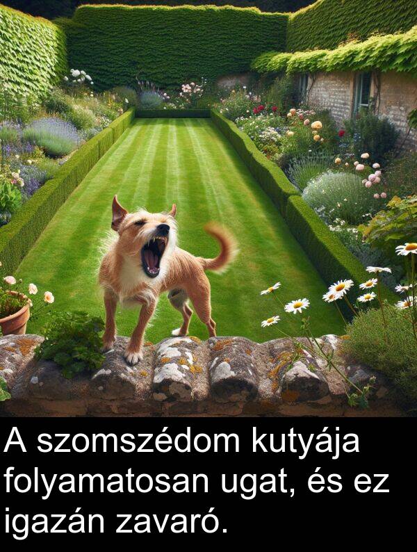 ugat: A szomszédom kutyája folyamatosan ugat, és ez igazán zavaró.