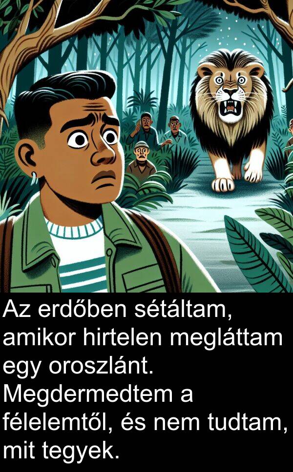 megláttam: Az erdőben sétáltam, amikor hirtelen megláttam egy oroszlánt. Megdermedtem a félelemtől, és nem tudtam, mit tegyek.