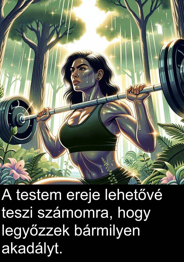 testem: A testem ereje lehetővé teszi számomra, hogy legyőzzek bármilyen akadályt.