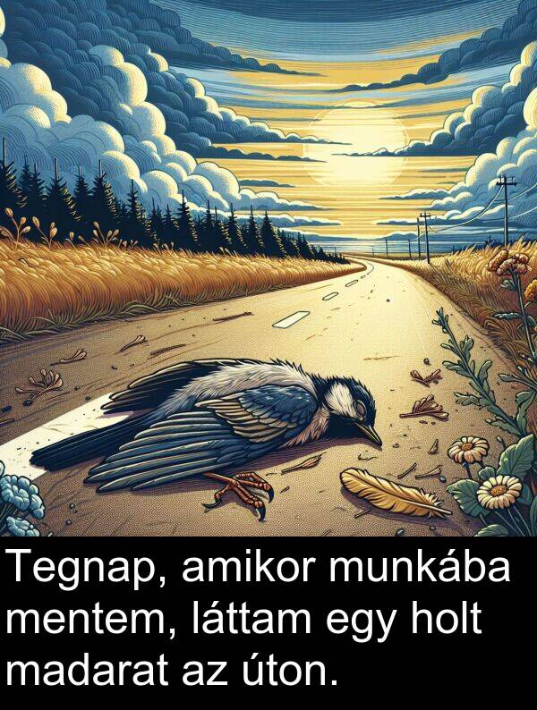 madarat: Tegnap, amikor munkába mentem, láttam egy holt madarat az úton.