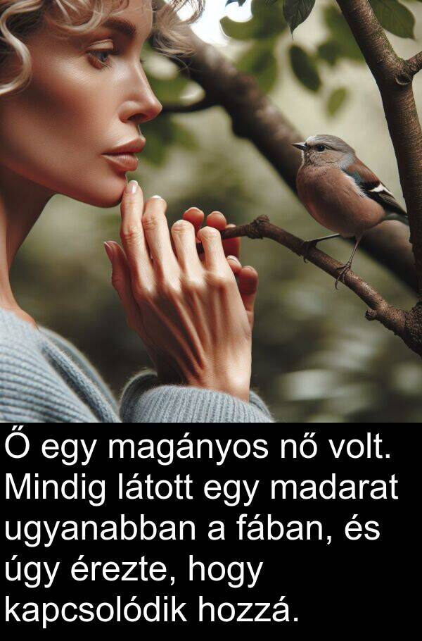 ugyanabban: Ő egy magányos nő volt. Mindig látott egy madarat ugyanabban a fában, és úgy érezte, hogy kapcsolódik hozzá.
