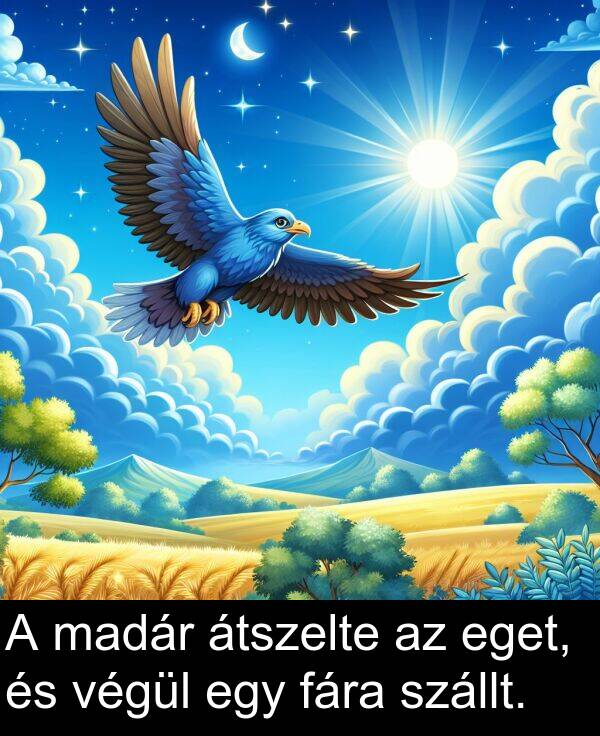 madár: A madár átszelte az eget, és végül egy fára szállt.