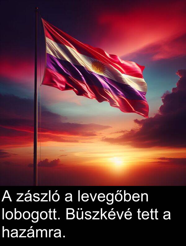 zászló: A zászló a levegőben lobogott. Büszkévé tett a hazámra.