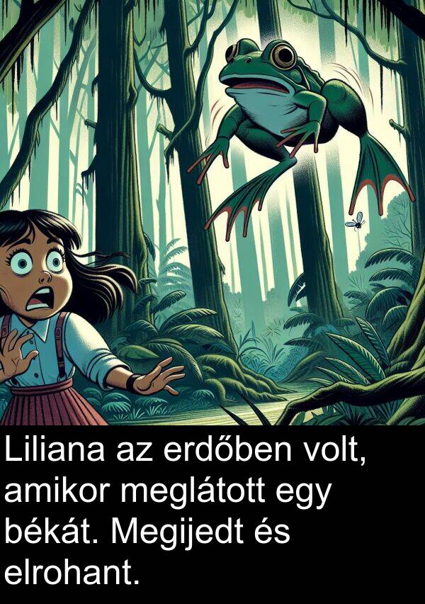 meglátott: Liliana az erdőben volt, amikor meglátott egy békát. Megijedt és elrohant.