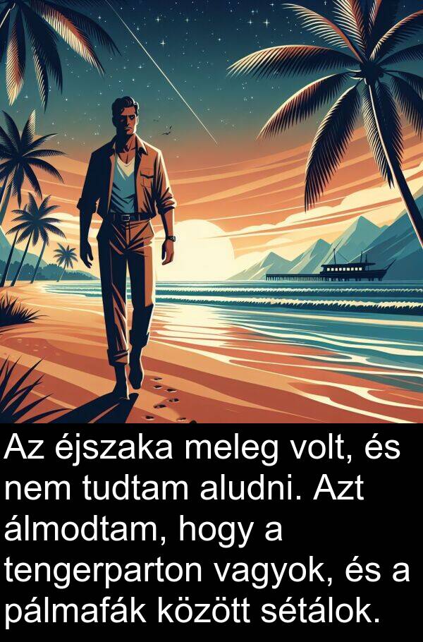 pálmafák: Az éjszaka meleg volt, és nem tudtam aludni. Azt álmodtam, hogy a tengerparton vagyok, és a pálmafák között sétálok.