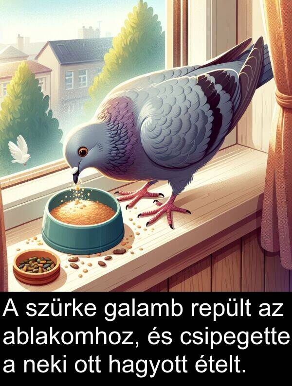 hagyott: A szürke galamb repült az ablakomhoz, és csipegette a neki ott hagyott ételt.