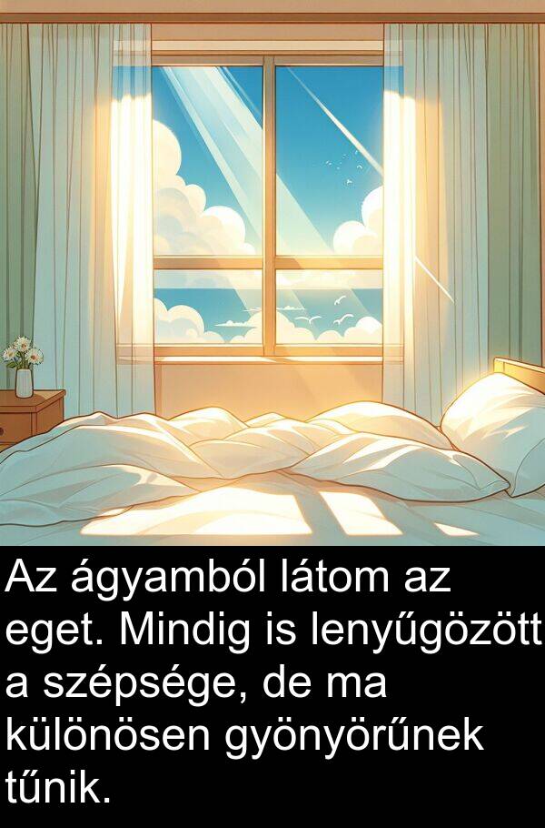 tűnik: Az ágyamból látom az eget. Mindig is lenyűgözött a szépsége, de ma különösen gyönyörűnek tűnik.