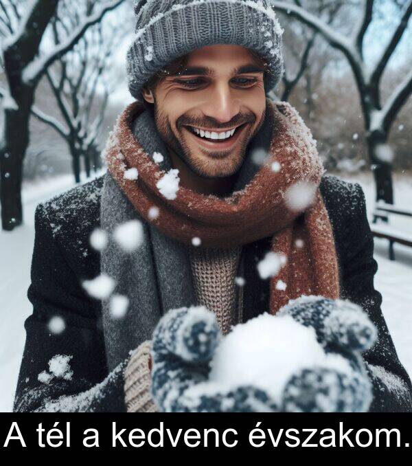 tél: A tél a kedvenc évszakom.
