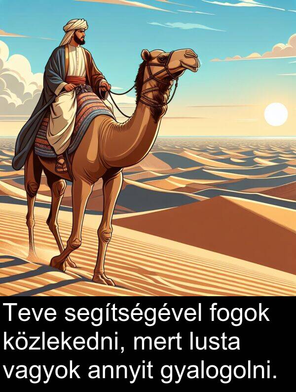 segítségével: Teve segítségével fogok közlekedni, mert lusta vagyok annyit gyalogolni.