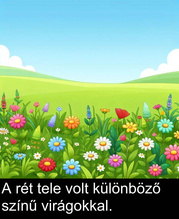 színű: A rét tele volt különböző színű virágokkal.