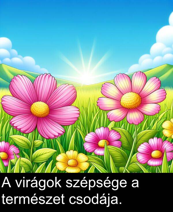csodája: A virágok szépsége a természet csodája.