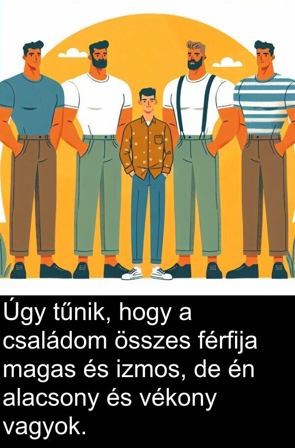 magas: Úgy tűnik, hogy a családom összes férfija magas és izmos, de én alacsony és vékony vagyok.
