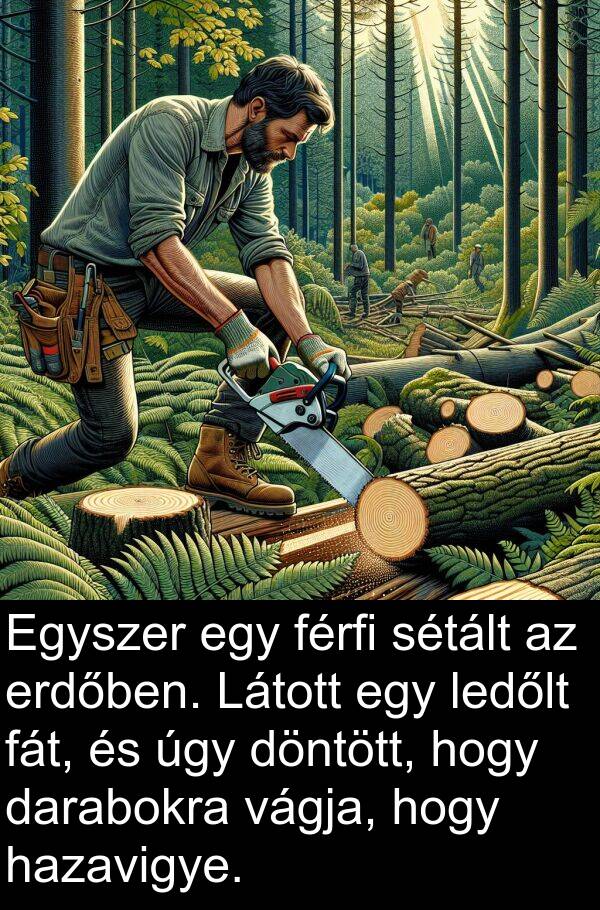 darabokra: Egyszer egy férfi sétált az erdőben. Látott egy ledőlt fát, és úgy döntött, hogy darabokra vágja, hogy hazavigye.