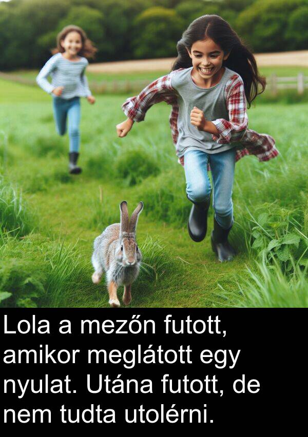 meglátott: Lola a mezőn futott, amikor meglátott egy nyulat. Utána futott, de nem tudta utolérni.