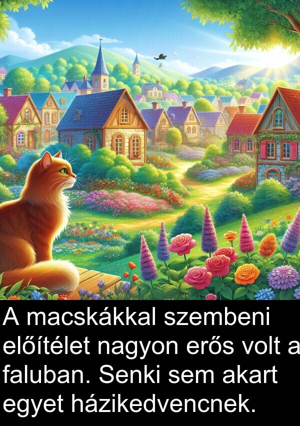 macskákkal: A macskákkal szembeni előítélet nagyon erős volt a faluban. Senki sem akart egyet házikedvencnek.