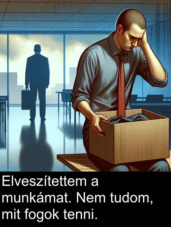 mit: Elveszítettem a munkámat. Nem tudom, mit fogok tenni.