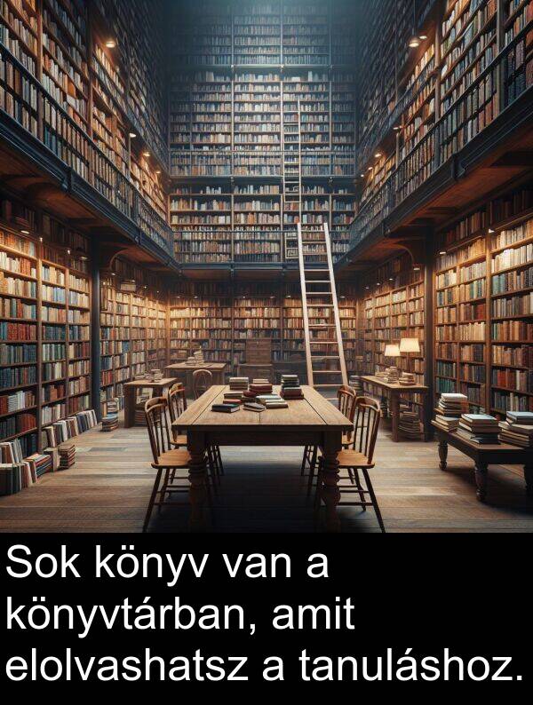 amit: Sok könyv van a könyvtárban, amit elolvashatsz a tanuláshoz.