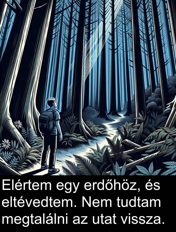 utat: Elértem egy erdőhöz, és eltévedtem. Nem tudtam megtalálni az utat vissza.