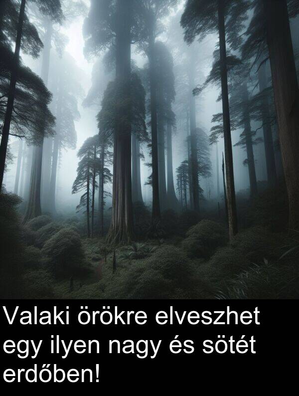 nagy: Valaki örökre elveszhet egy ilyen nagy és sötét erdőben!