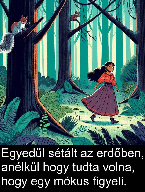 mókus: Egyedül sétált az erdőben, anélkül hogy tudta volna, hogy egy mókus figyeli.