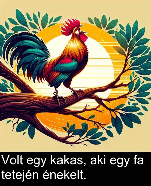 tetején: Volt egy kakas, aki egy fa tetején énekelt.