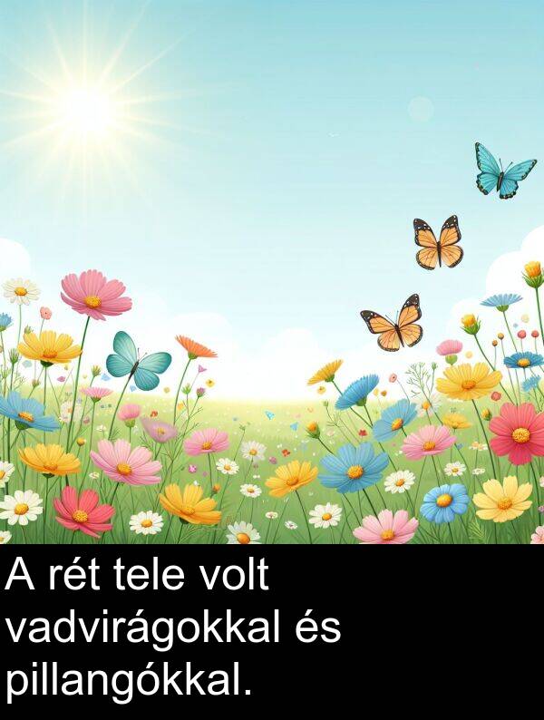 pillangókkal: A rét tele volt vadvirágokkal és pillangókkal.