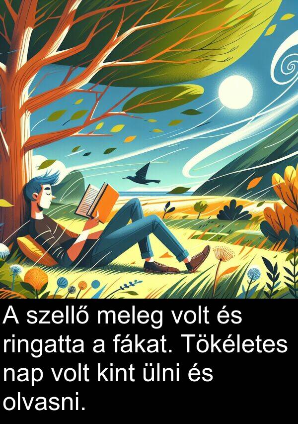szellő: A szellő meleg volt és ringatta a fákat. Tökéletes nap volt kint ülni és olvasni.