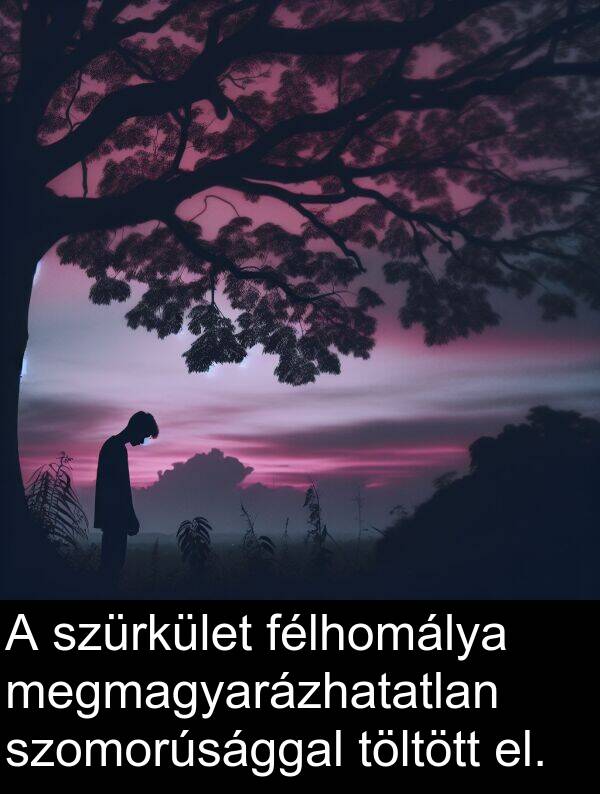 megmagyarázhatatlan: A szürkület félhomálya megmagyarázhatatlan szomorúsággal töltött el.