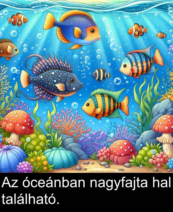 óceánban: Az óceánban nagyfajta hal található.