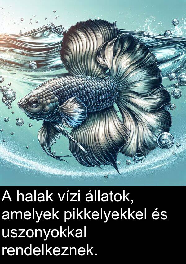 pikkelyekkel: A halak vízi állatok, amelyek pikkelyekkel és uszonyokkal rendelkeznek.