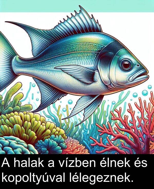 vízben: A halak a vízben élnek és kopoltyúval lélegeznek.