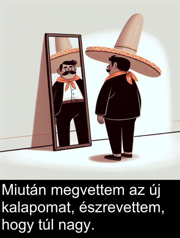 túl: Miután megvettem az új kalapomat, észrevettem, hogy túl nagy.