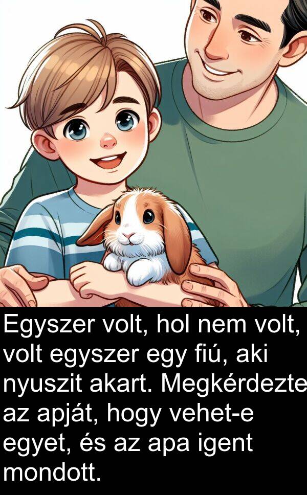 mondott: Egyszer volt, hol nem volt, volt egyszer egy fiú, aki nyuszit akart. Megkérdezte az apját, hogy vehet-e egyet, és az apa igent mondott.