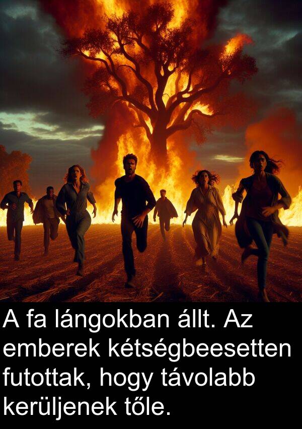 állt: A fa lángokban állt. Az emberek kétségbeesetten futottak, hogy távolabb kerüljenek tőle.