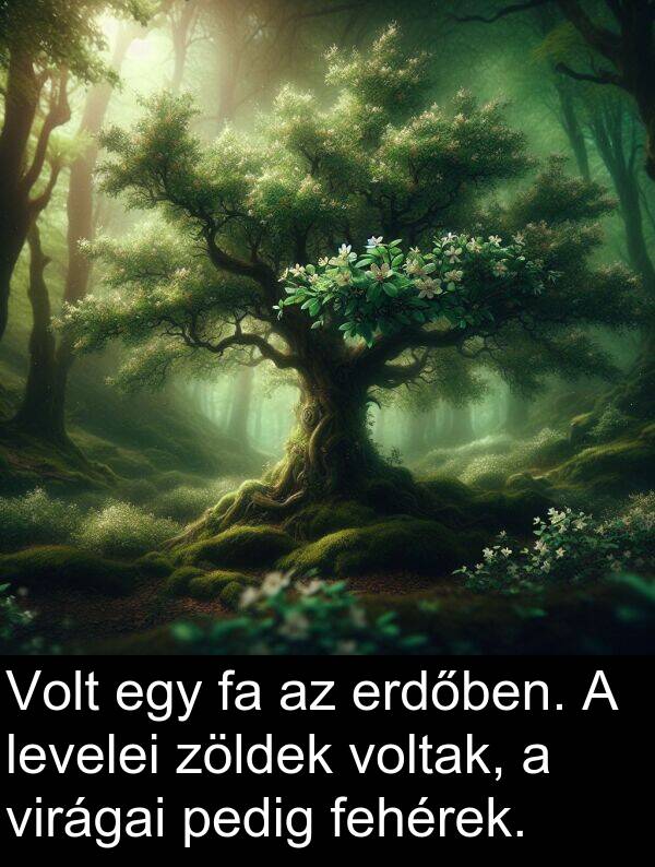 zöldek: Volt egy fa az erdőben. A levelei zöldek voltak, a virágai pedig fehérek.