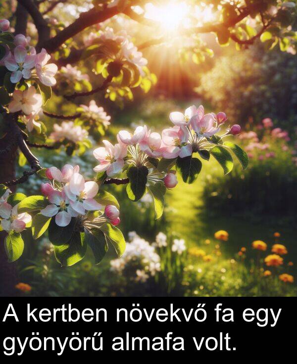 növekvő: A kertben növekvő fa egy gyönyörű almafa volt.