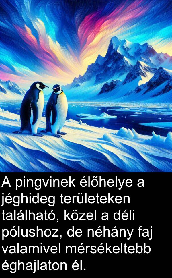 déli: A pingvinek élőhelye a jéghideg területeken található, közel a déli pólushoz, de néhány faj valamivel mérsékeltebb éghajlaton él.