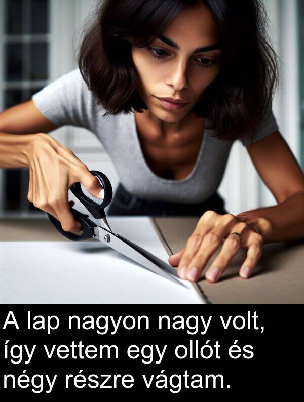 ollót: A lap nagyon nagy volt, így vettem egy ollót és négy részre vágtam.