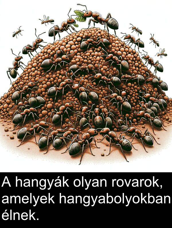 olyan: A hangyák olyan rovarok, amelyek hangyabolyokban élnek.