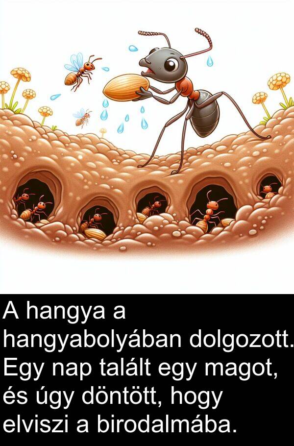talált: A hangya a hangyabolyában dolgozott. Egy nap talált egy magot, és úgy döntött, hogy elviszi a birodalmába.