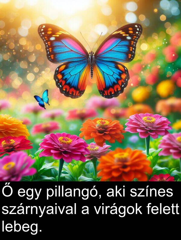 pillangó: Ő egy pillangó, aki színes szárnyaival a virágok felett lebeg.