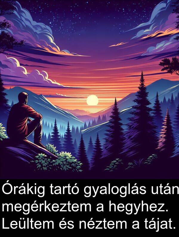 tájat: Órákig tartó gyaloglás után megérkeztem a hegyhez. Leültem és néztem a tájat.