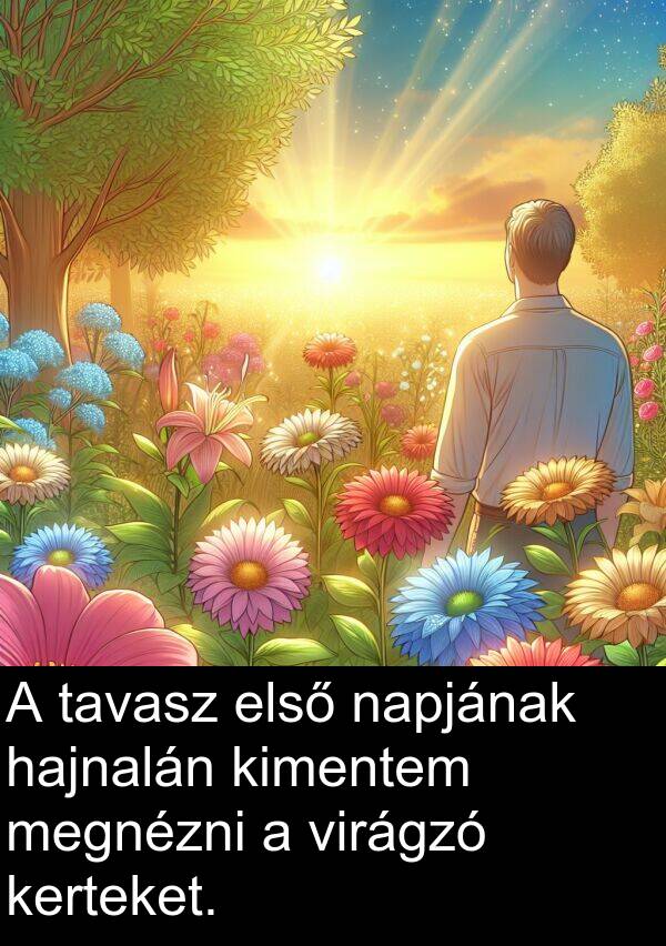 hajnalán: A tavasz első napjának hajnalán kimentem megnézni a virágzó kerteket.