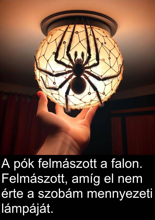 pók: A pók felmászott a falon. Felmászott, amíg el nem érte a szobám mennyezeti lámpáját.