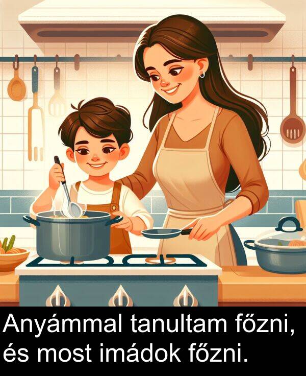 tanultam: Anyámmal tanultam főzni, és most imádok főzni.