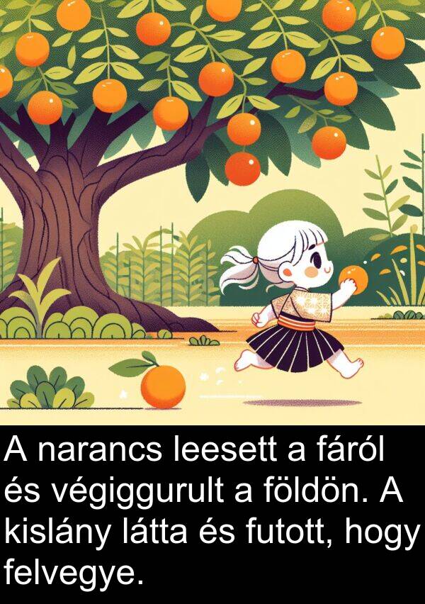 narancs: A narancs leesett a fáról és végiggurult a földön. A kislány látta és futott, hogy felvegye.