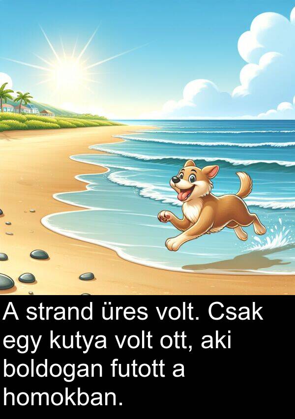 aki: A strand üres volt. Csak egy kutya volt ott, aki boldogan futott a homokban.
