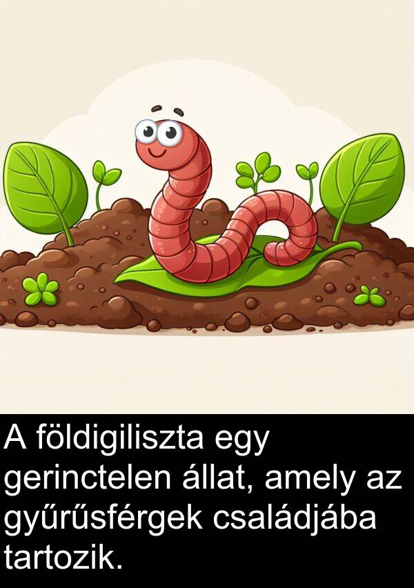 állat: A földigiliszta egy gerinctelen állat, amely az gyűrűsférgek családjába tartozik.