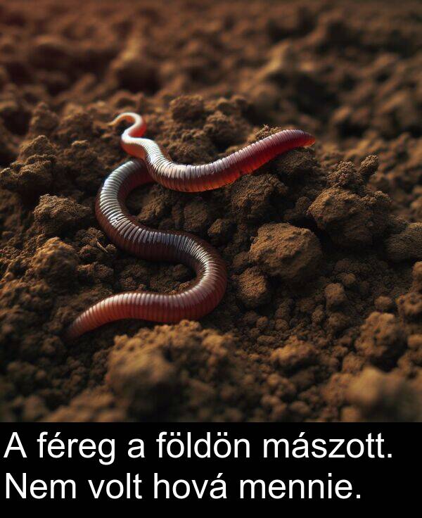 hová: A féreg a földön mászott. Nem volt hová mennie.